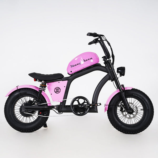 The FT02 Mini Girls Ebike