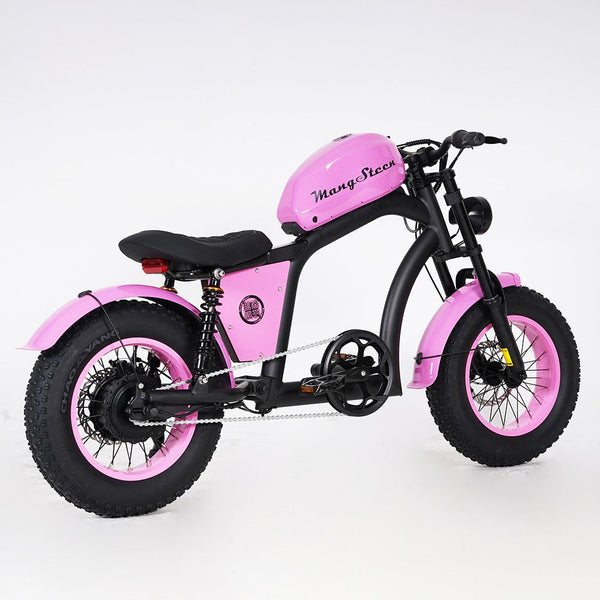 The FT02 Lass Bicycle by Mangosteen