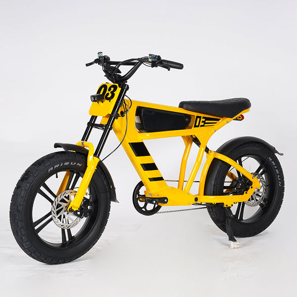 The FT03 Student Ebike