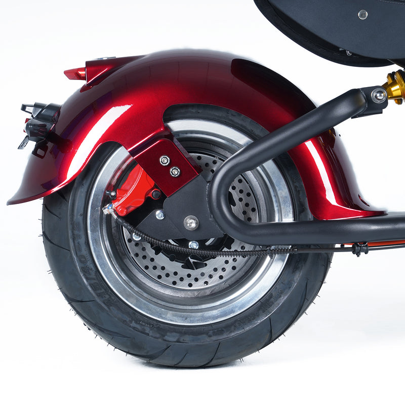 Mangosteen Electric Motorcycle Moter Scooter M8S