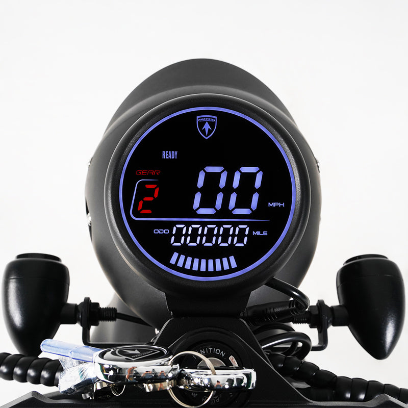Mangosteen E Scooter Display Speedometer  (regular)