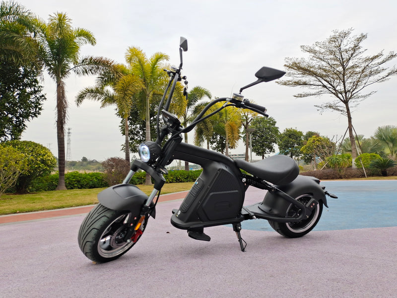 Mangosteen Electric Scooter with Seat for Adults: CityCoco M8