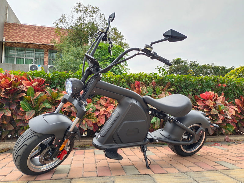 Mangosteen Electric Scooter with Seat for Adults: CityCoco M8