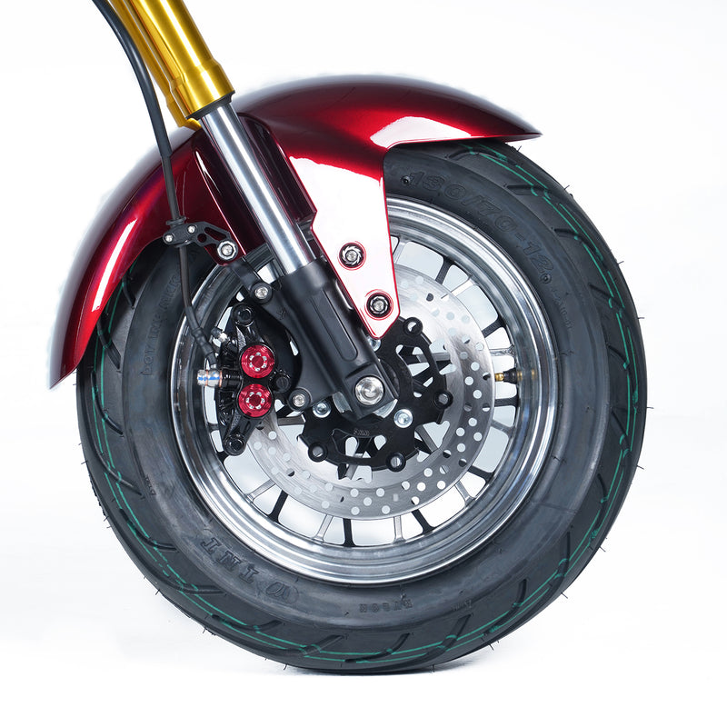 Mangosteen Electric Motorcycle Moter Scooter M8S