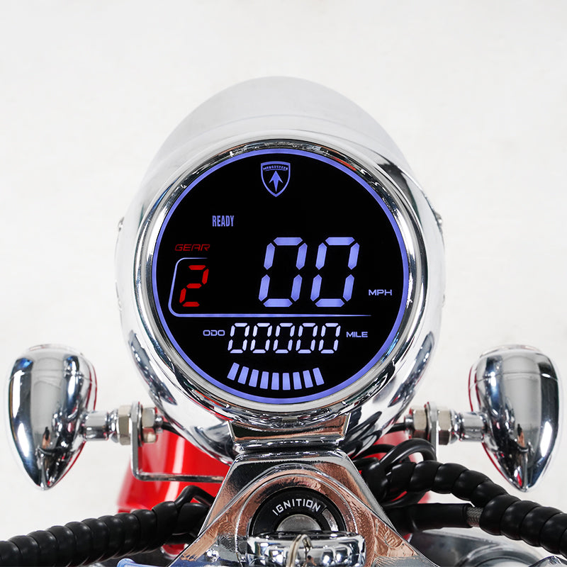 Mangosteen E Scooter Display Speedometer  (regular)