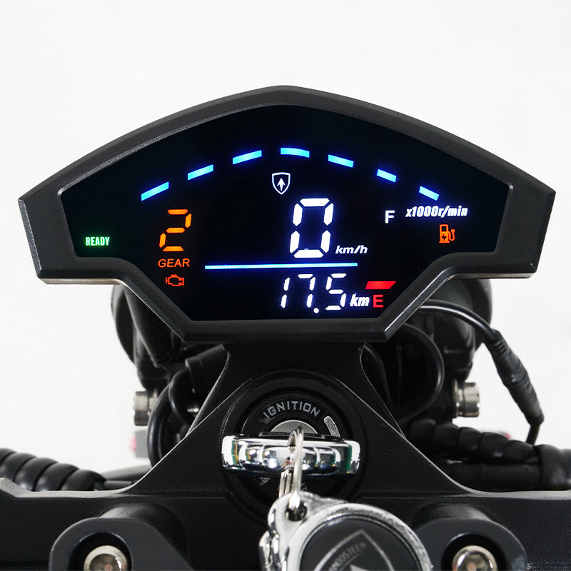 Mangosteen E Scooter Display Speedometer  (regular)