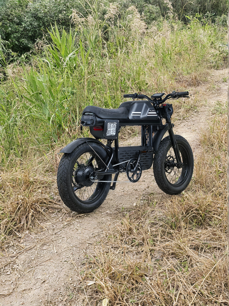 Mangosteen FT01  Electric Chopper Bike(45 days delivery)