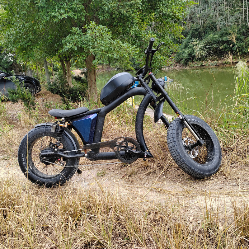 Mangosteen Electric Bike FT02 （45 days delivery）