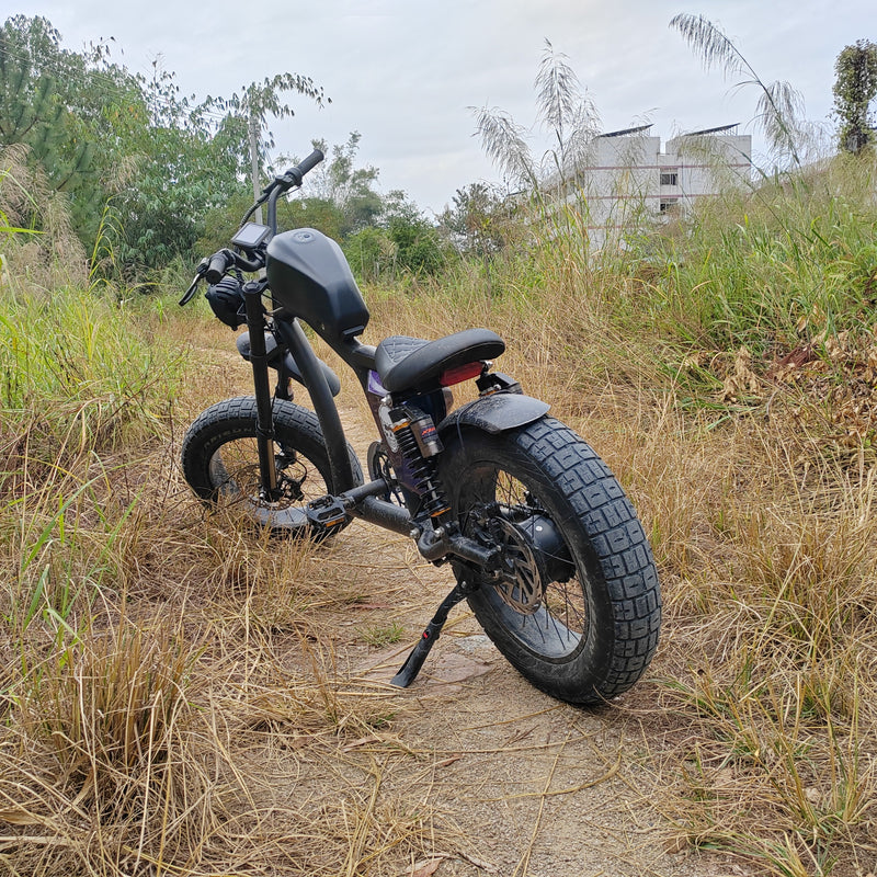 Mangosteen Chopper Electric Bike FT02 750W Motor 48V22.5AH Range Up to 120km