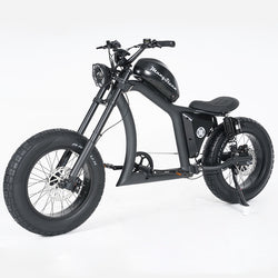 Mangosteen Chopper Electric Bike FT02 750W Motor 48V22.5AH Range Up to 120km