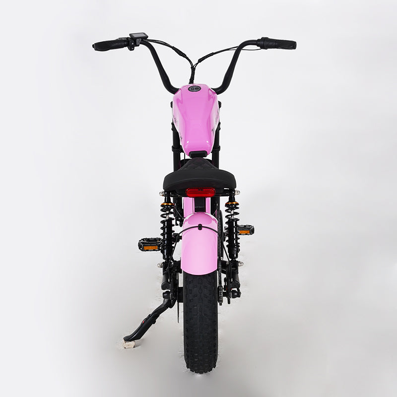 ebikes for girls