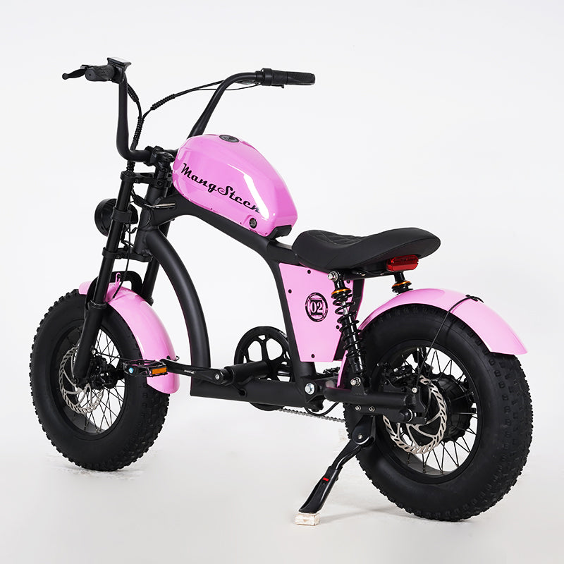 girl ebike